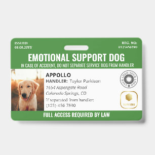 Hund 2-Logo und Foto-ID für den grünen Dienst Ausweis