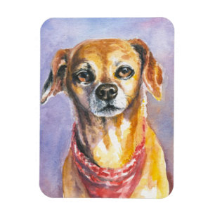 Hund 2 magnet