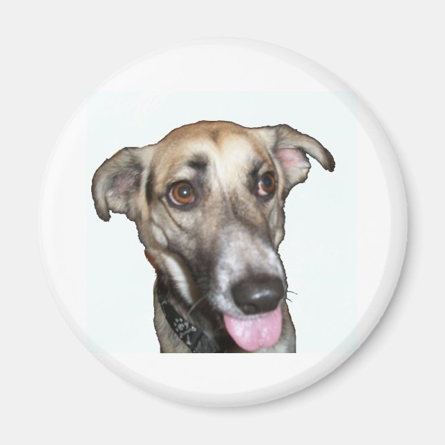 Hund 2, Magnet (Vorne)