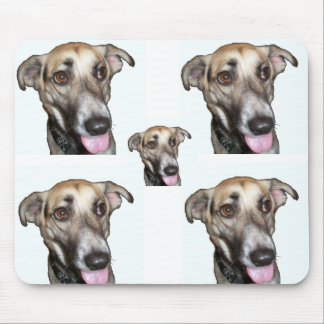Hund 2, Mauspad