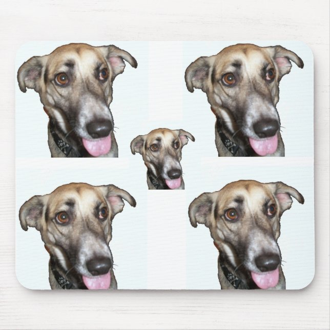 Hund 2, Mauspad (Vorne)