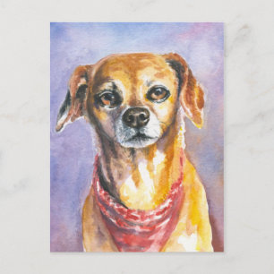 Hund 2 postkarte