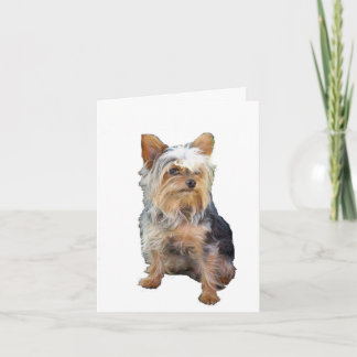 Hund 4 A Anmerkung Karte