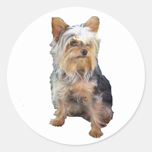 Hund 4 A Aufkleber (Vorderseite)