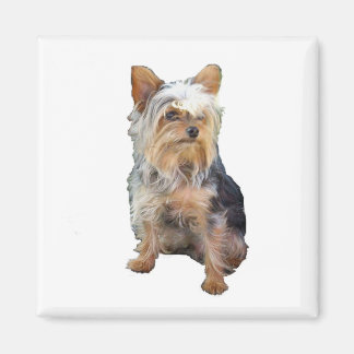 Hund 4 A Magnet