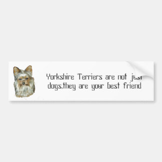 Hund 4, B, Yorkshire-Terrier-Autoaufkleber Autoaufkleber