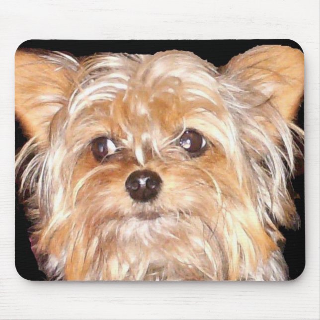 Hund 4, Maus-Pad Mousepad (Vorne)