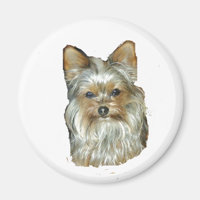 Hund 4B, Yorkshire Terrier, Magnet (Vorne)