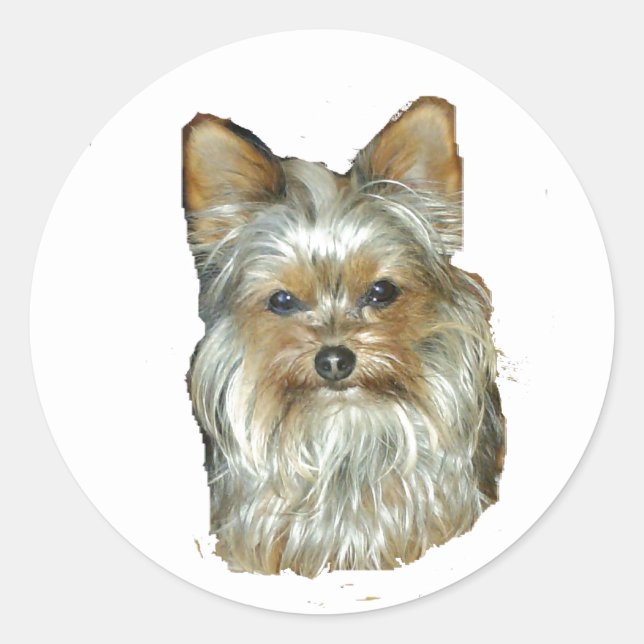 Hund 4B, Yorkshire Terrier, Stickers (Vorderseite)