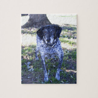 Hund 5 Puzzle