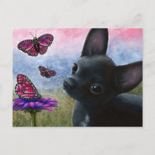 Hund 91 Chihuahua Postkarte