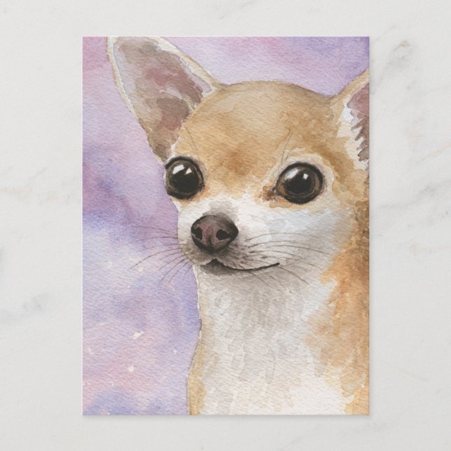 Hund 95 Chihuahua Postkarte (Vorderseite)