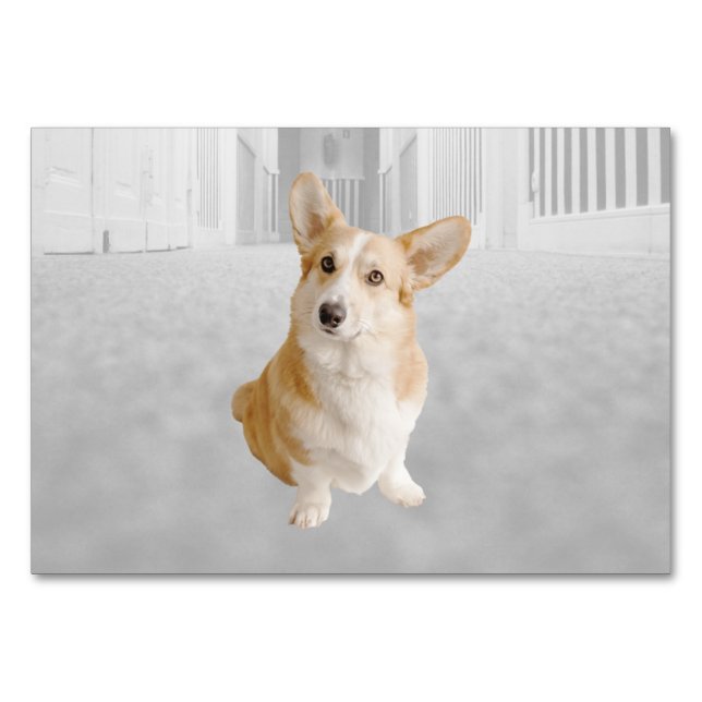 Hund ABA Tact Labeling Flashcard | Picture Card Tischnummer (Vorderseite)