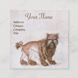 Hund/Affenpinscher/Tierarzt, Tierarzt Quadratische Visitenkarte
