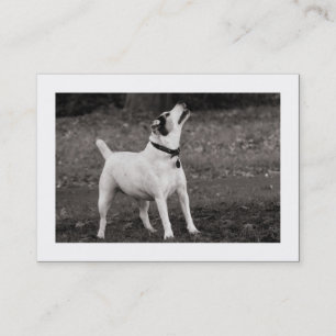 Hund Agog (begrenzt) Visitenkarte
