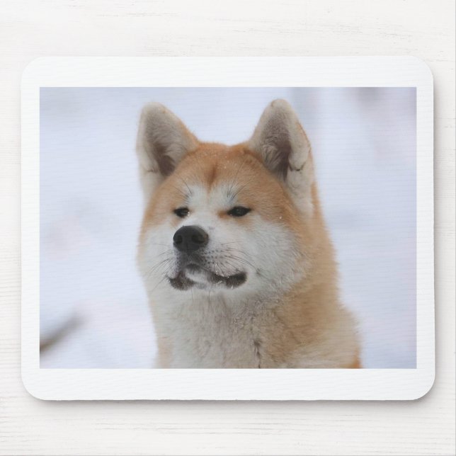 Hund Akitas Inu, der ernst schaut Mousepad (Vorne)