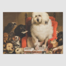 Hund als Richter, der das Gesetz vor Gericht festl