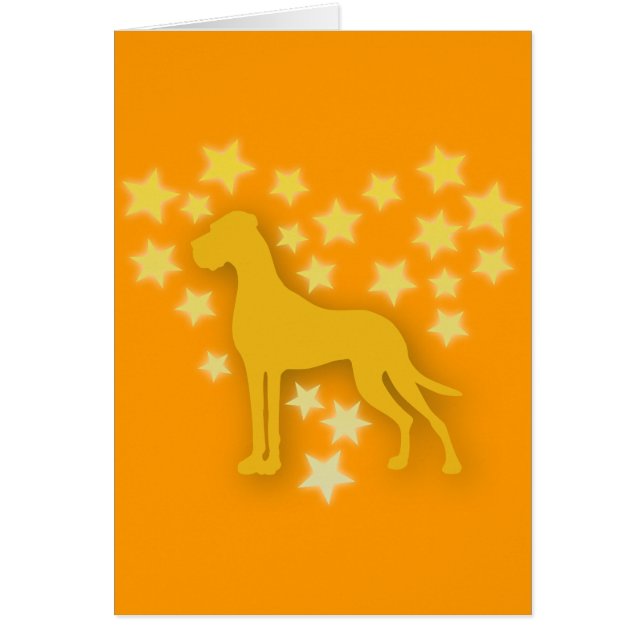 Hund als Sterne (Vorne)