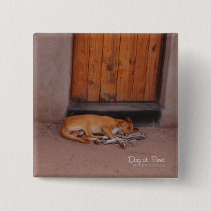 Hund am Erholung Square Button