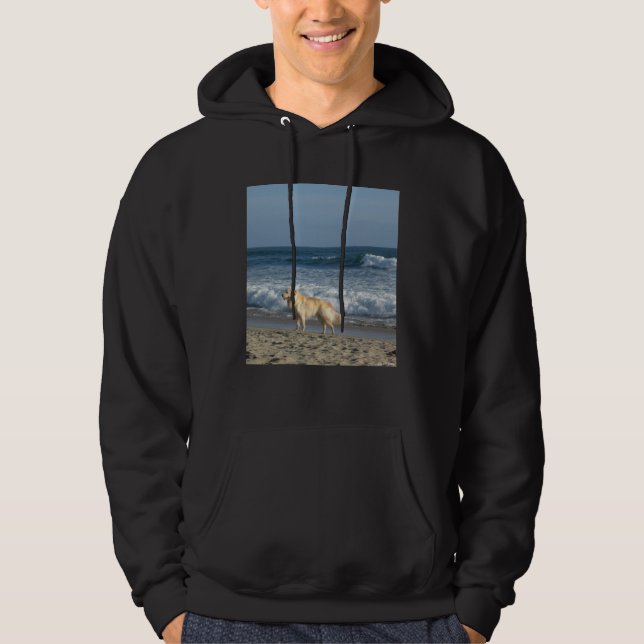 Hund am Strand Hoodie (Vorderseite)
