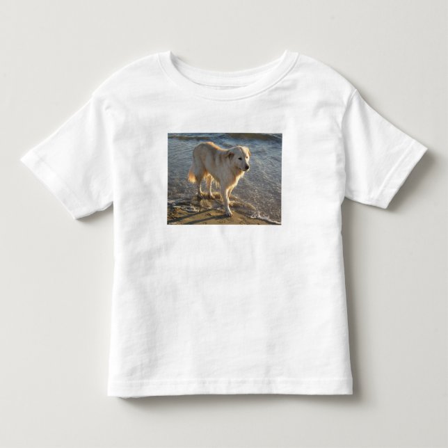 Hund am Strand Kleinkind T-shirt (Vorderseite)