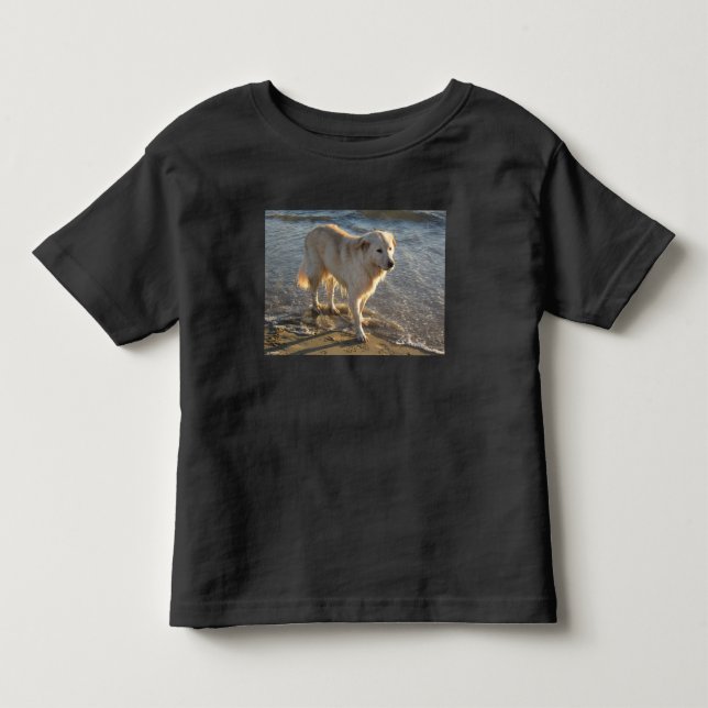 Hund am Strand Kleinkind T-shirt (Vorderseite)
