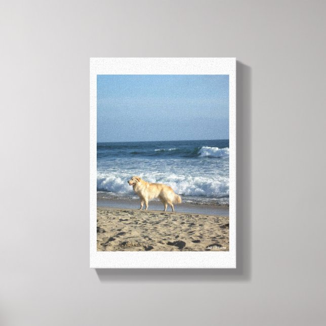 Hund am Strand Leinwanddruck (Vorderseite)