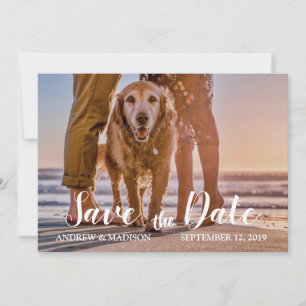 Hund am Strand mit Couple Save the Date Card