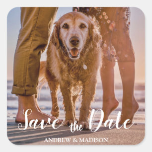 Hund am Strand mit Paar Save the Date Quadratischer Aufkleber