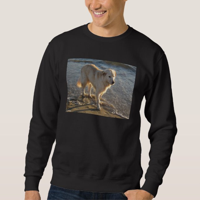 Hund am Strand Sweatshirt (Vorderseite)