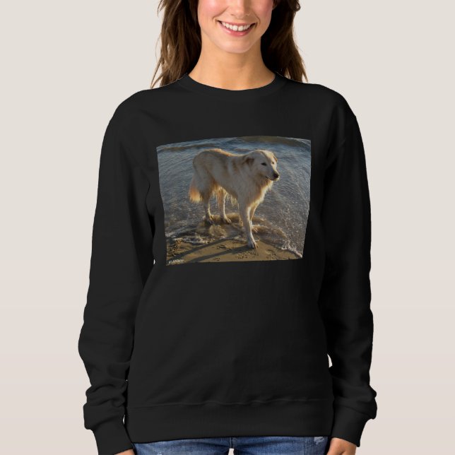 Hund am Strand Sweatshirt (Vorderseite)