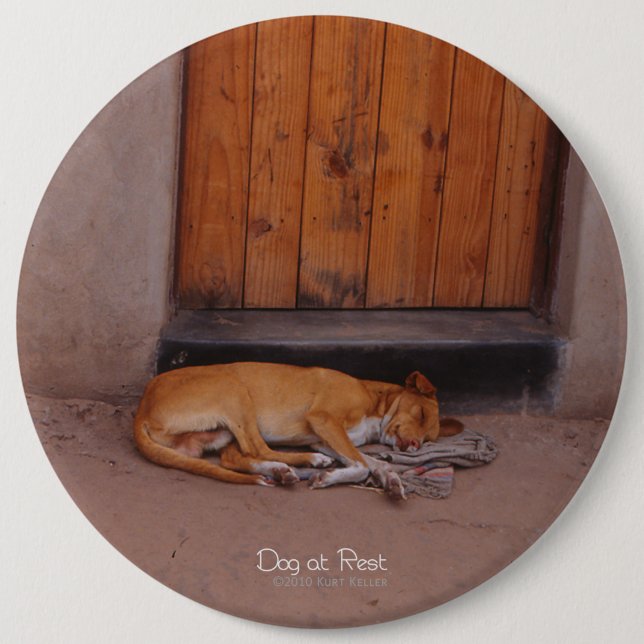 Hund an der Erholung Button (Vorderseite)