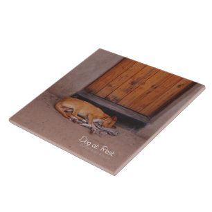 Hund an der Erholung Fliese