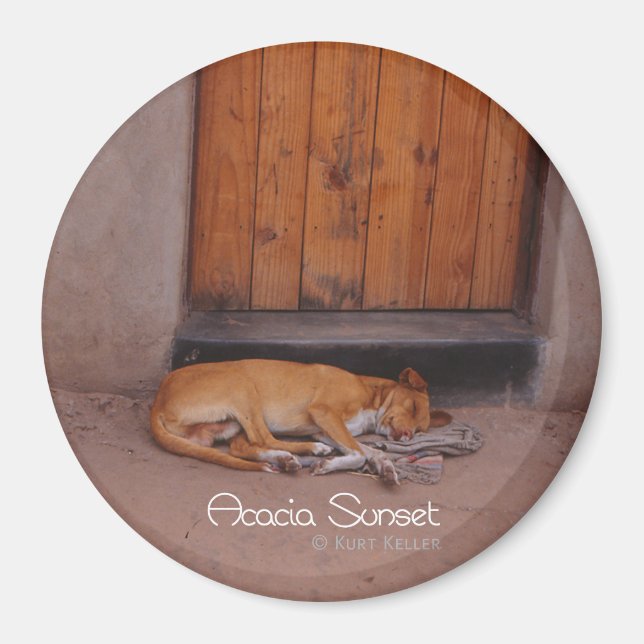 Hund an der Erholung Magnet (Vorne)