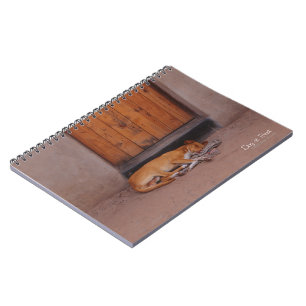 Hund an der Erholung Notizblock