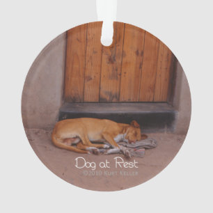 Hund an der Erholung Ornament
