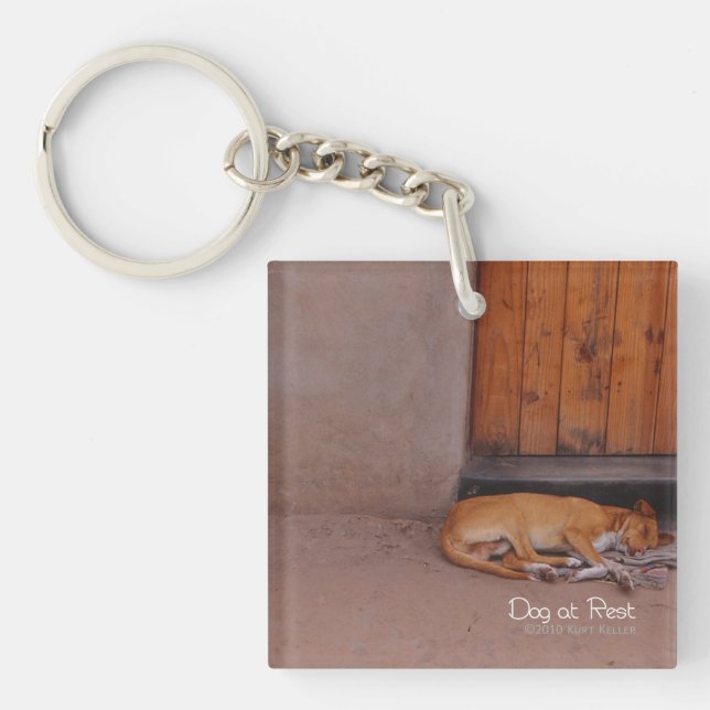 Hund an der Erholung Schlüsselanhänger (Vorderseite)