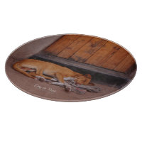 Hund an der Erholung