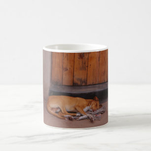 Hund an der Erholung Tasse