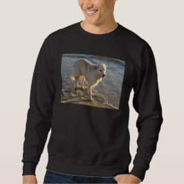 Hund an der Küste Sweatshirt