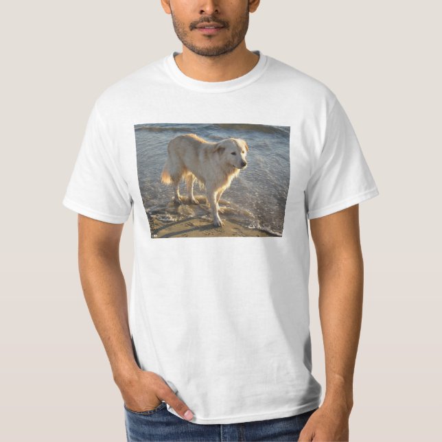 Hund an der Küste T-Shirt (Vorderseite)