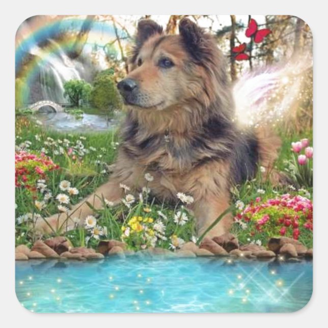 Hund an der Rainbow Bridge Haustier Quadratischer Aufkleber (Vorderseite)