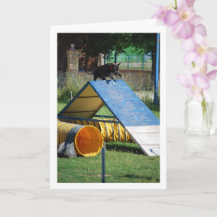 Hund an der Schulungsschule Karte