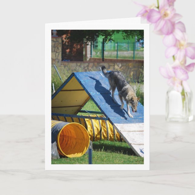 Hund an der Schulungsschule Karte (Orchidee)