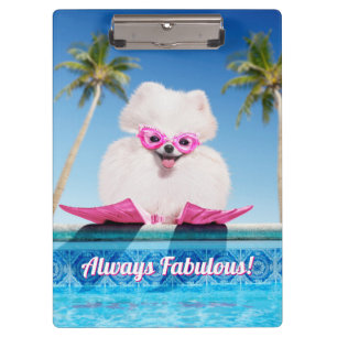 Hund an Schwimmern Klemmbrett