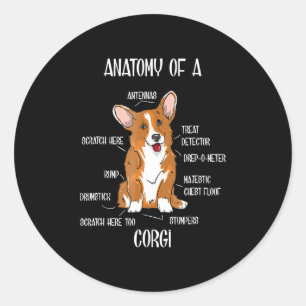 Hund Anatomie , Niedlich Walisische Corgi Welpe Bi Runder Aufkleber