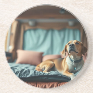 Hund auf Bett Getränkeuntersetzer