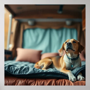 Hund auf Bett Poster