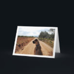 Hund auf der Dusty Road Karte<br><div class="desc">Hund auf Dusty Road Grußkarte. Sie können dieses Produkt ganz einfach kostenlos anpassen,  wenn Sie Text hinzufügen oder die Farbe des Hintergrunds ändern möchten.</div>