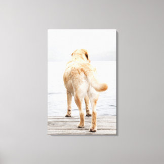 Hund auf Dock Leinwanddruck